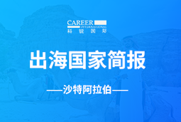 九州酷游GO GLOBAL | 沙特阿拉伯国家简报